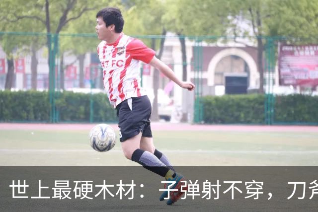 世上最硬木材：子弹射不穿，刀斧劈不烂，却被我国大量收购