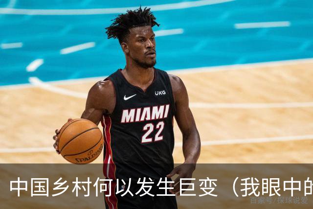 中国乡村何以发生巨变（我眼中的中国）