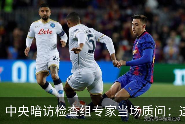 中央暗访检查组专家当场质问：这个地方怎么没有铭牌？