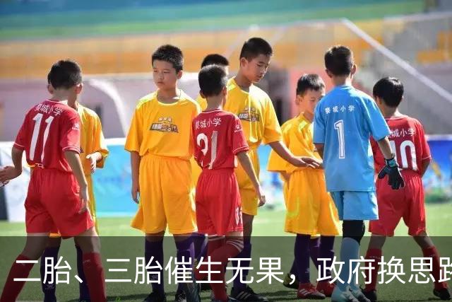 二胎、三胎催生无果，政府换思路！马光远＂新方案＂得到支持