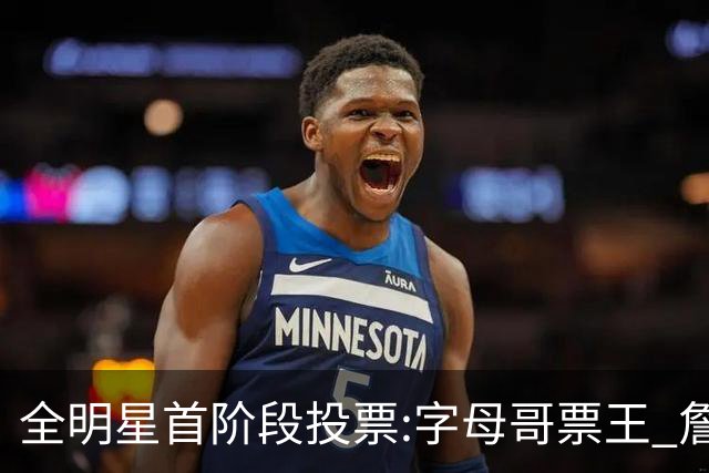 全明星首阶段投票:字母哥票王 詹姆斯西部票王