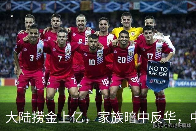 大陆捞金上亿，家族暗中反华，中方果断出手，沈家的下场大快人心