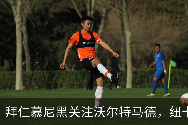 拜仁慕尼黑关注沃尔特马德，纽卡斯尔愿考虑永久报价