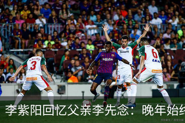 李紫阳回忆父亲李先念：晚年始终耿耿于怀的两件事有哪些？