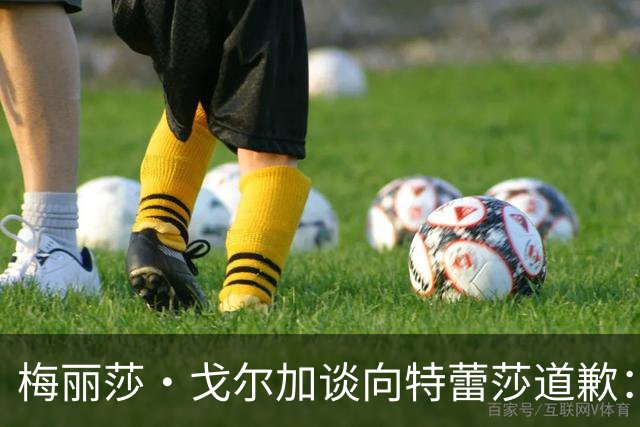梅丽莎·戈尔加谈向特蕾莎道歉：我不后悔，我永远愿意道歉