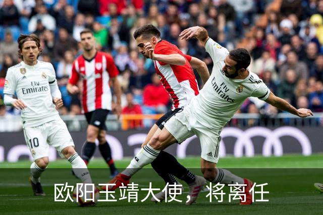 欧阳玉靖大使，将离任