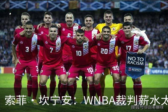 索菲·坎宁安：WNBA裁判薪水太低 如果能提高待遇 他们会更投入