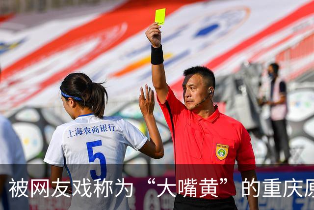 被网友戏称为“大嘴黄”的重庆原市长黄奇帆，被查了