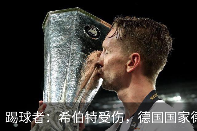 踢球者：希伯特受伤，德国国家德比主裁判已更换为斯蒂勒