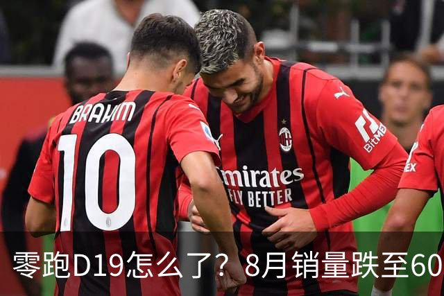 零跑D19怎么了？8月销量跌至6034台，环比下滑39.9%