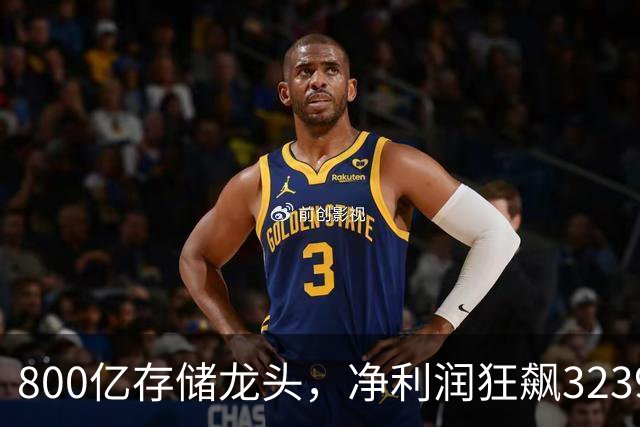 800亿存储龙头，净利润狂飙32399%